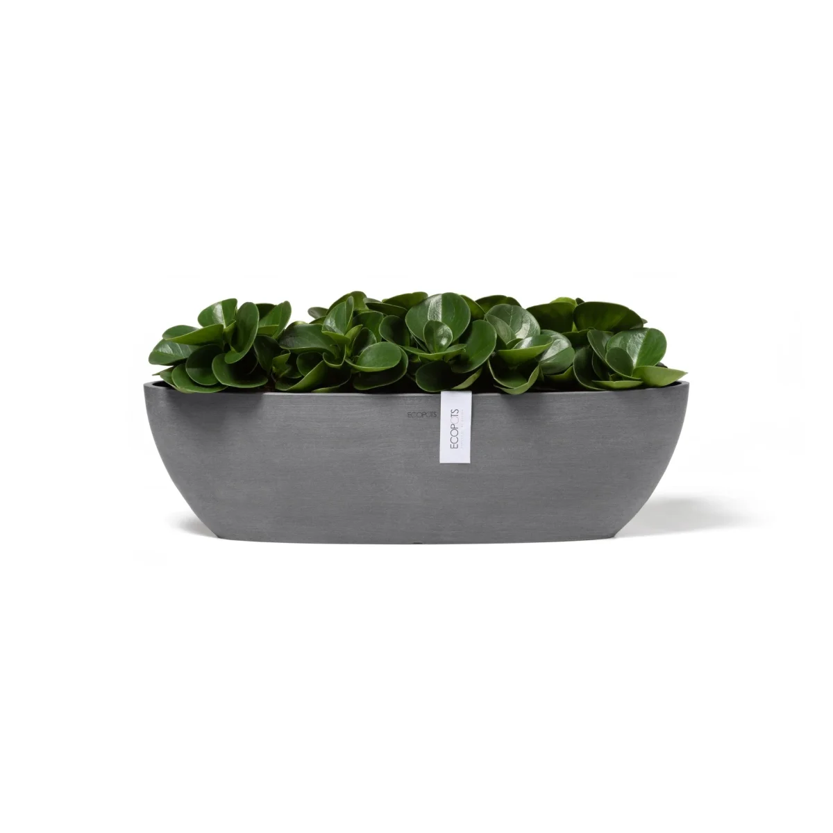 Kukkaruukku Sofia pitkä 56cm harmaa