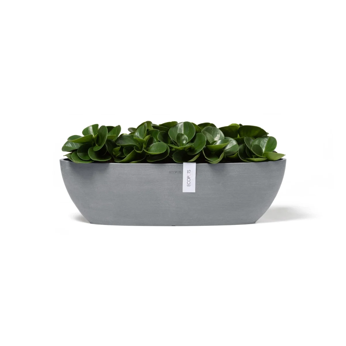 Kukkaruukku Sofia pitkä 56cm siniharmaa