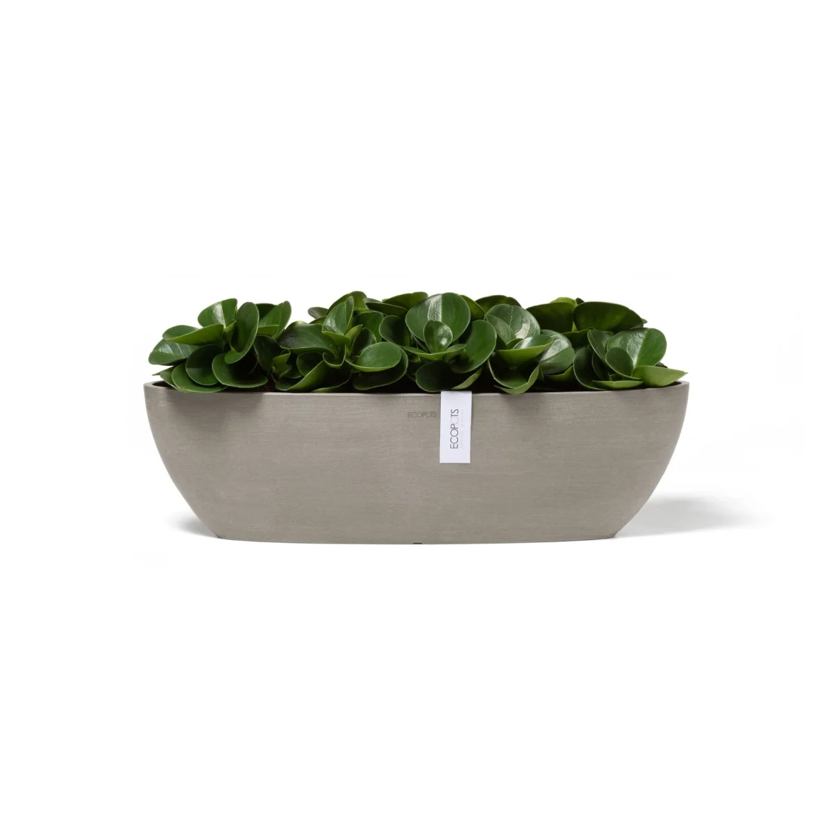 Kukkaruukku Sofia pitkä 56cm taupe