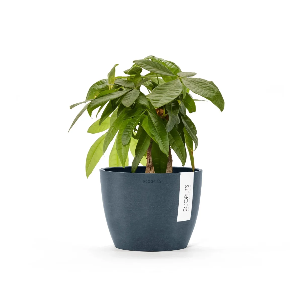 Kukkaruukku Tukholma 16cm tummansininen