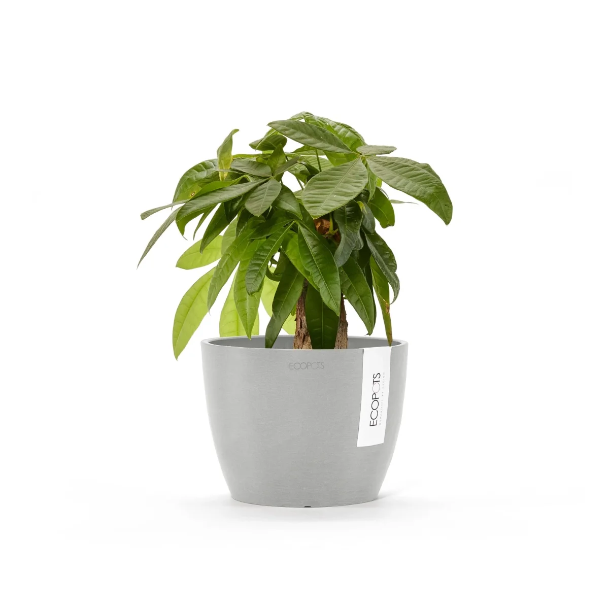 Kukkaruukku Tukholma 16cm valkoharmaa