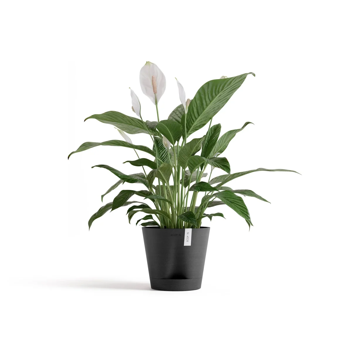 Kukkaruukku Venetsia 2.0 20cm tummanharmaa