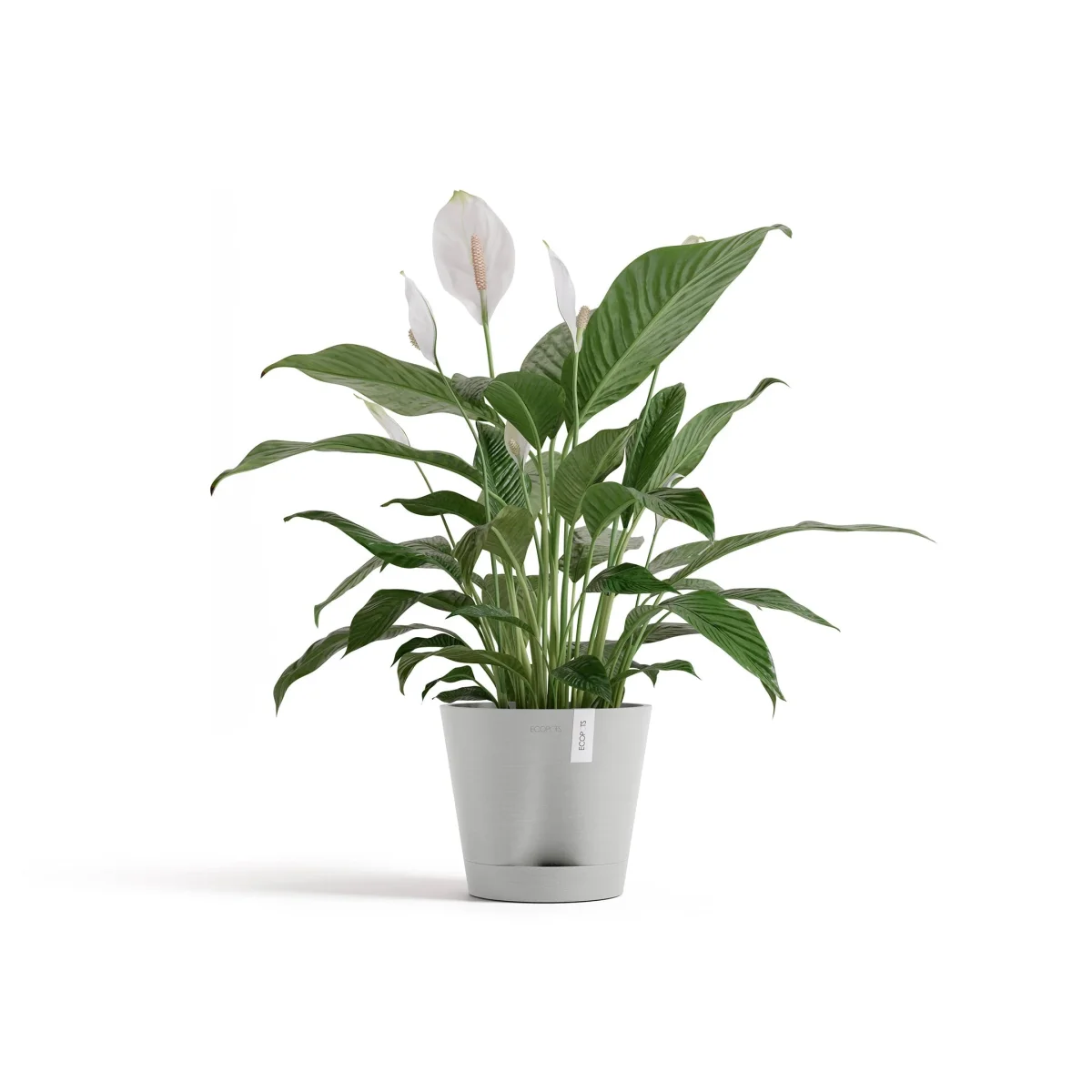 Kukkaruukku Venetsia 2.0 20cm valkoharmaa