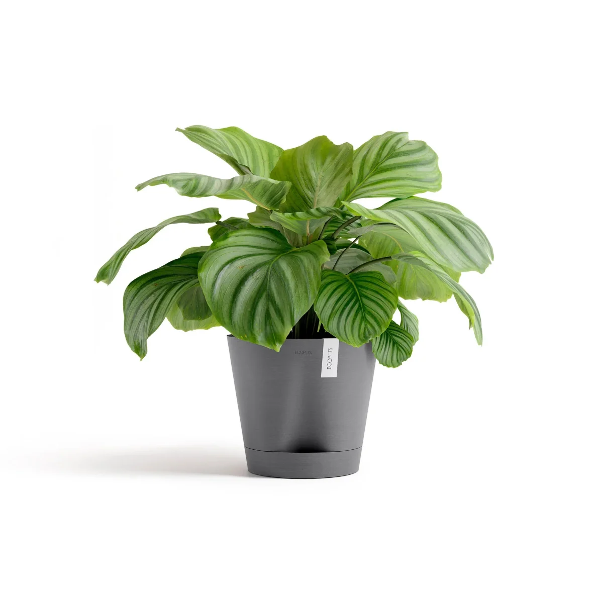 Kukkaruukku Venetsia 2.0 30cm harmaa