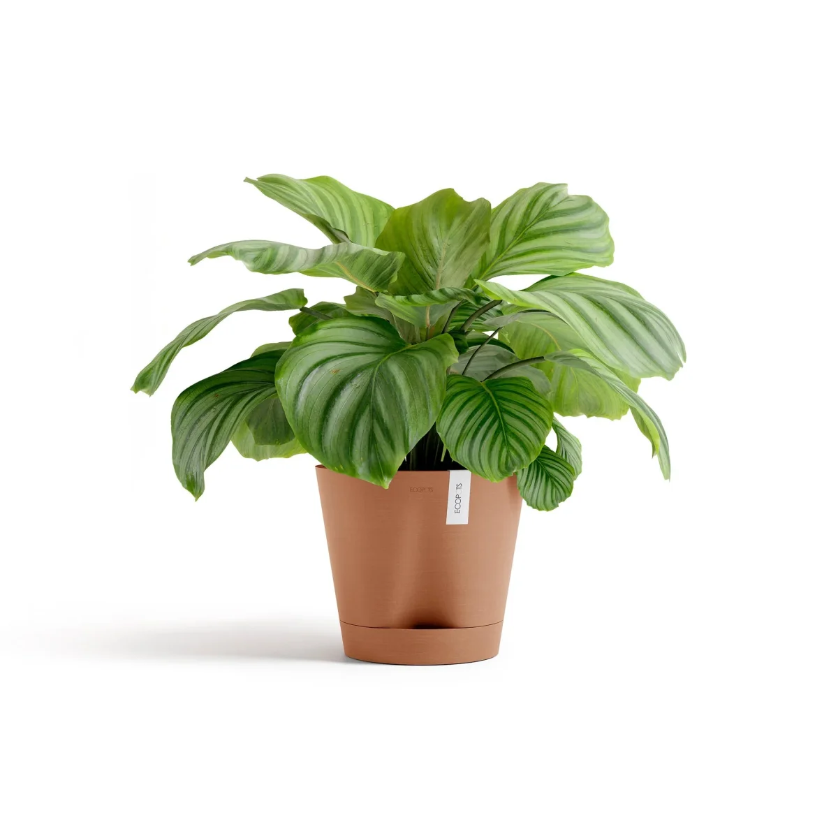 Kukkaruukku Venetsia 2.0 30cm terracotta