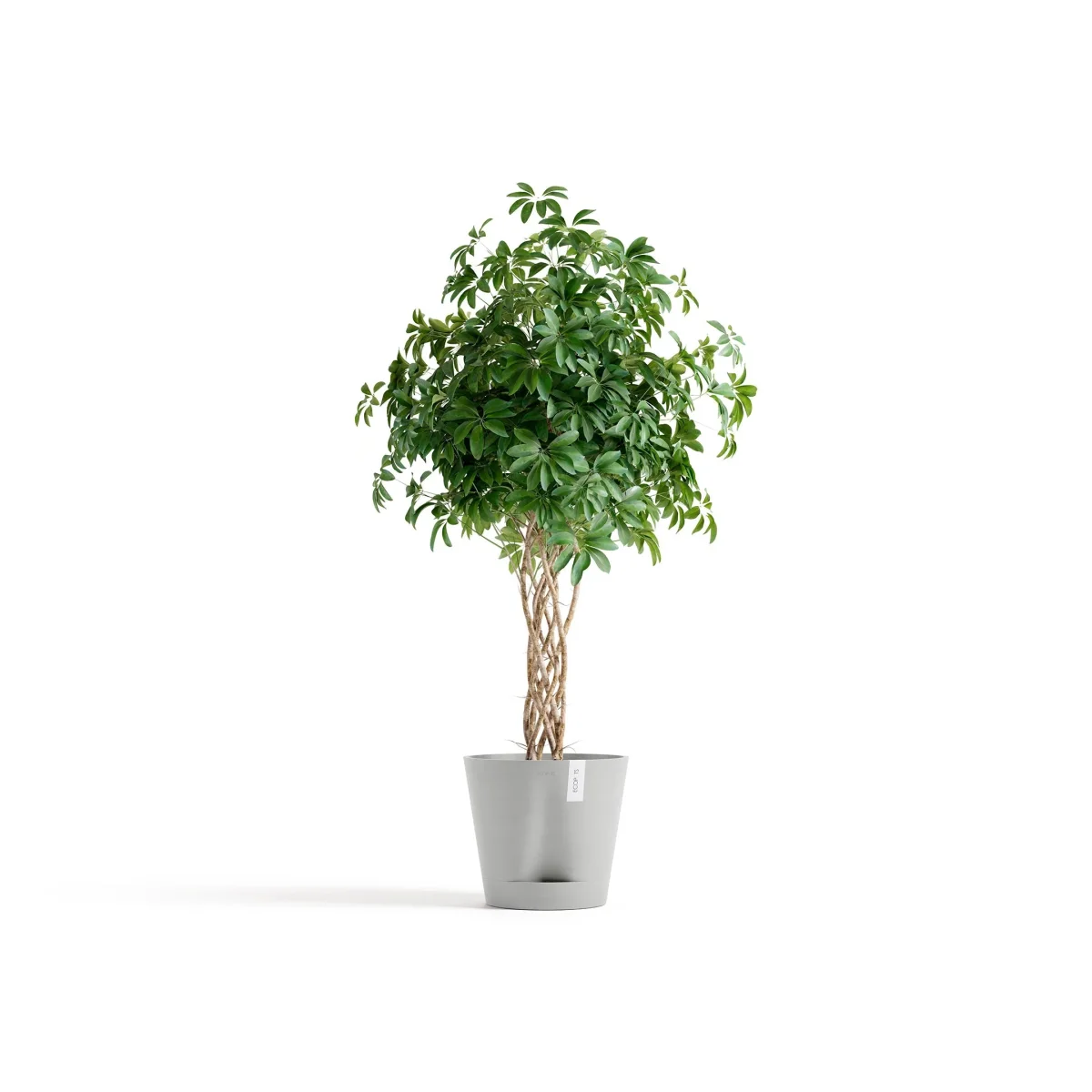 Kukkaruukku Venetsia 2.0 40cm valkoharmaa